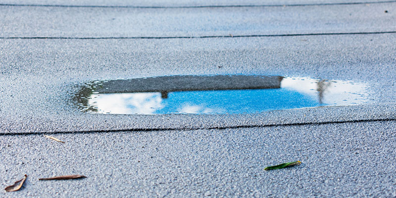 Common Issues with Flat Roofs to Keep in Mind
