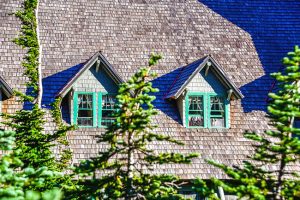 Five Tips to Care for Cedar Shake Roofs